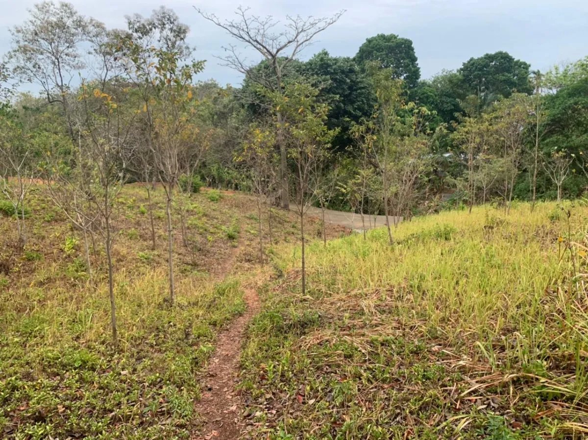 Lote en venta en santa catalina, veraguas. de 3200 metros cuadrados.