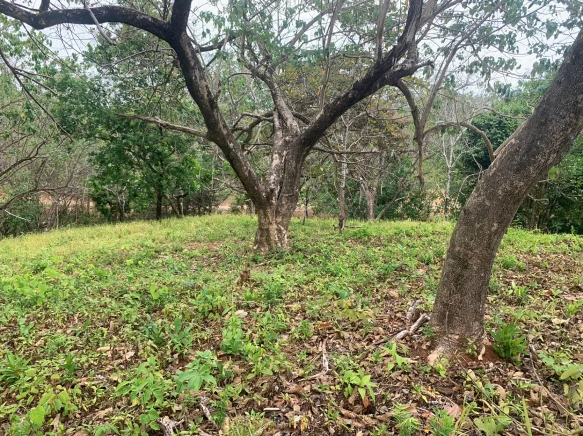 Lote en venta en santa catalina, veraguas. de 3200 metros cuadrados.