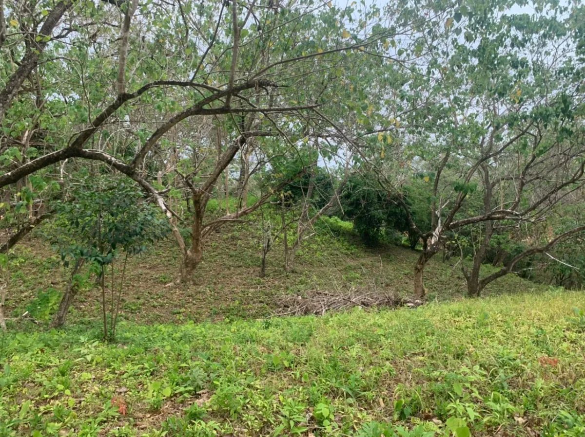 Lote en venta en santa catalina, veraguas. de 3200 metros cuadrados.