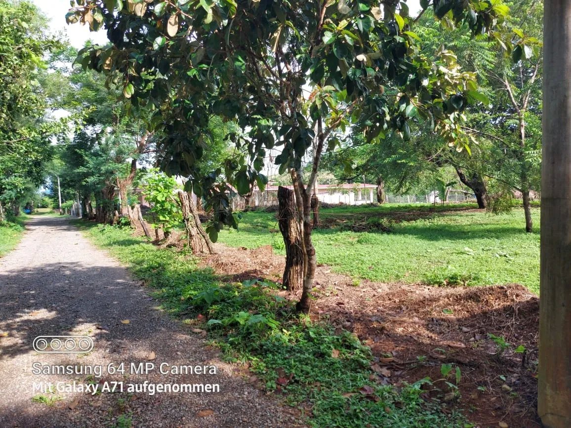 Lote plano cerca del pueblo y la playa de las lajas, chiriqui