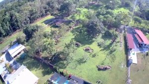 138957 - Las lajas - properties