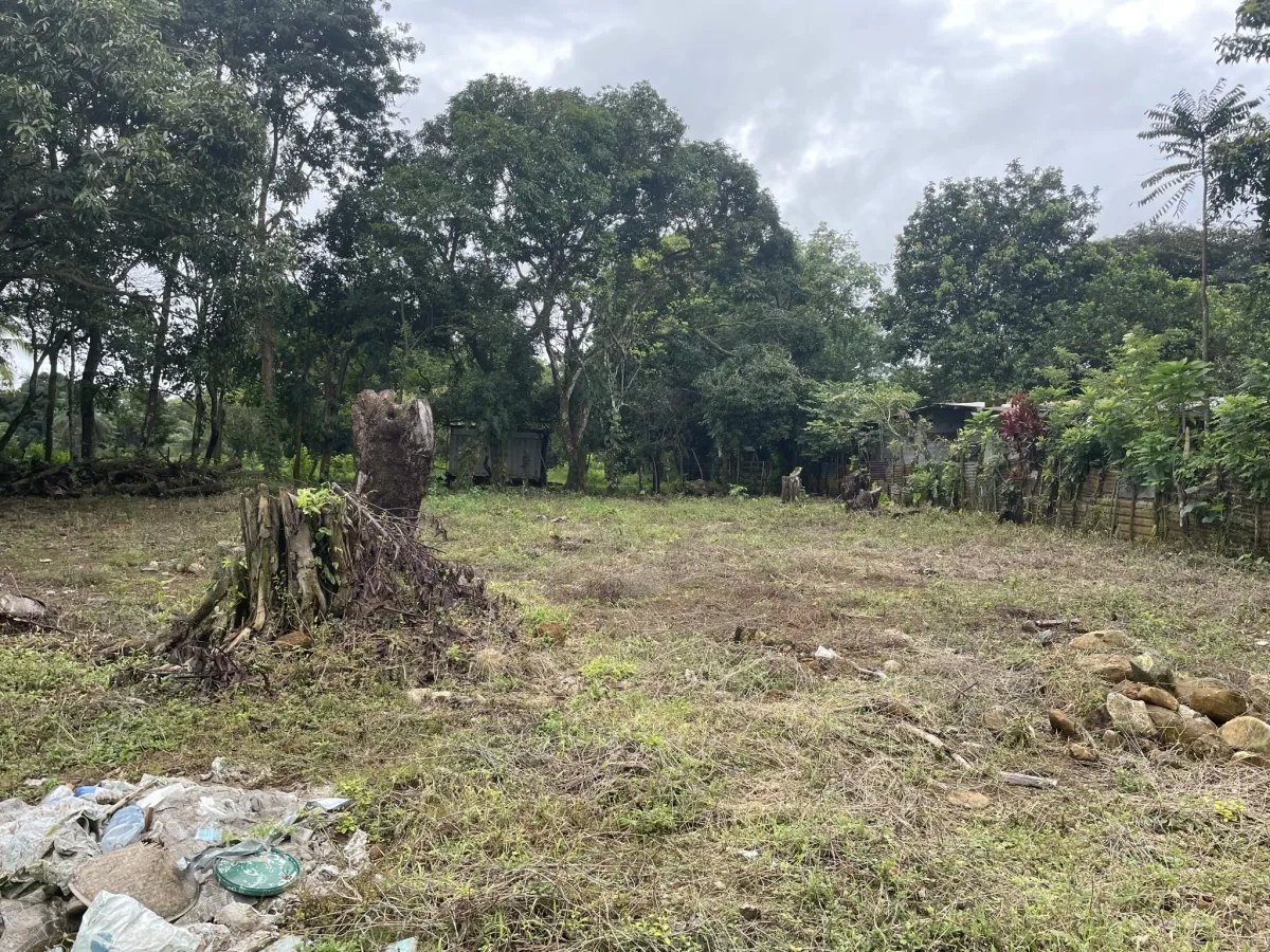 Casa casi terminada en un gran terreno en dolega