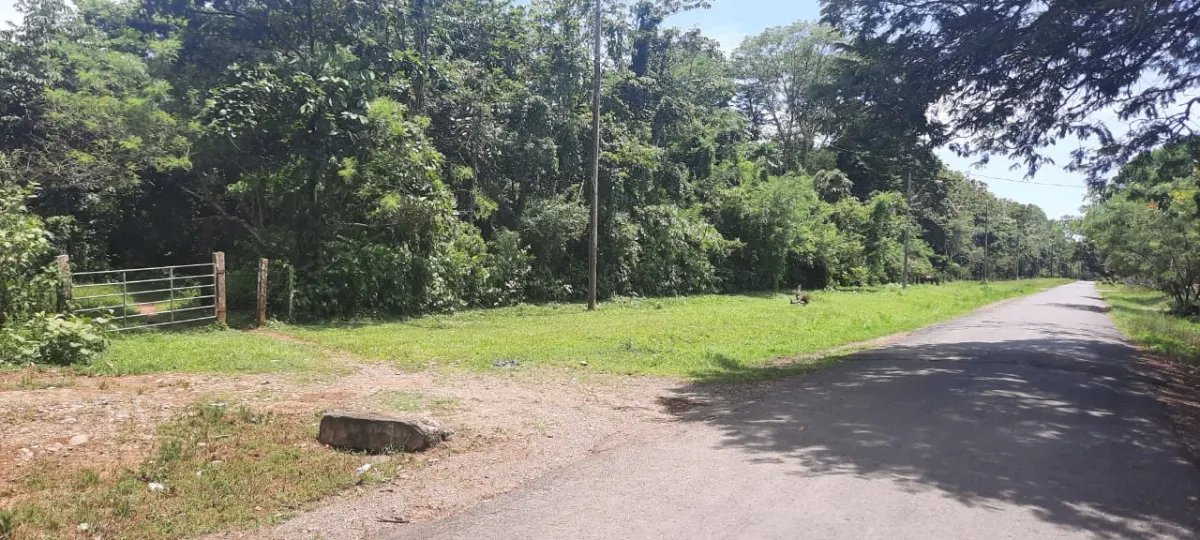 Terreno grande y plano en las lajas, a 10 minutos de la playa