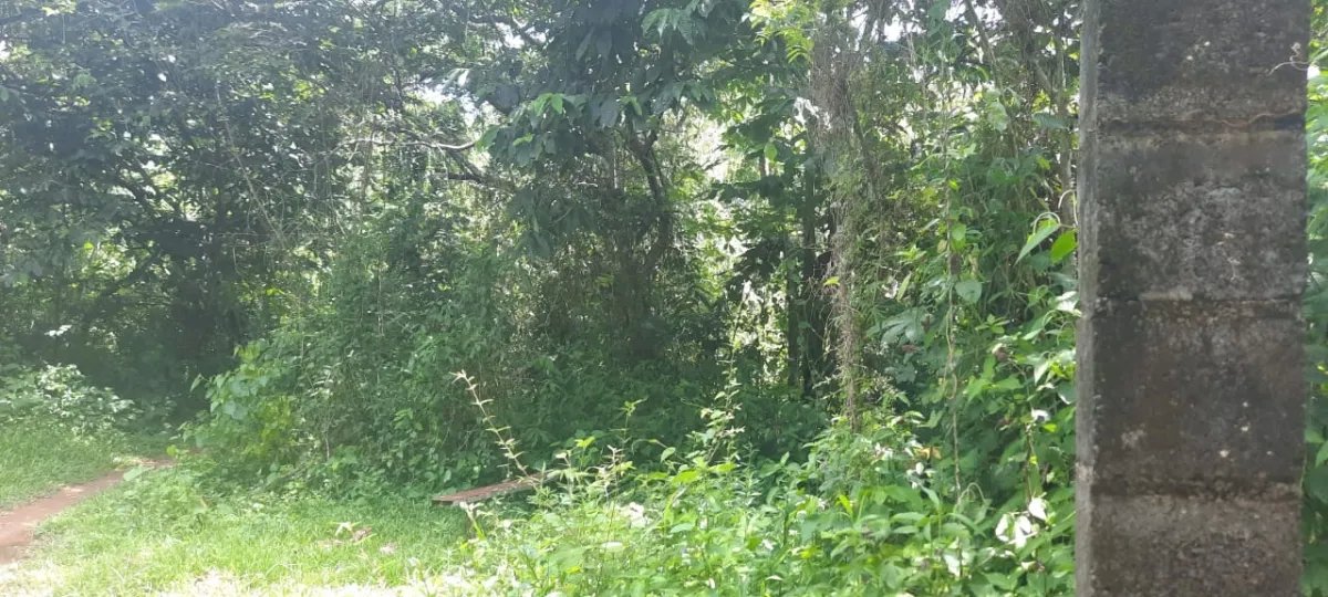 Terreno grande y plano en las lajas, a 10 minutos de la playa