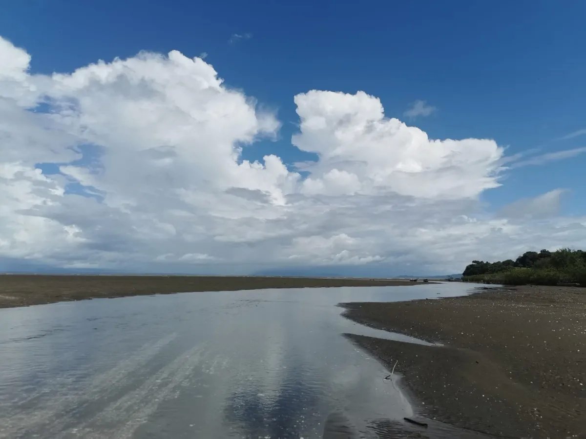 Propiedad en venta frente a la playa de lagartero,  santa catalina, ve...