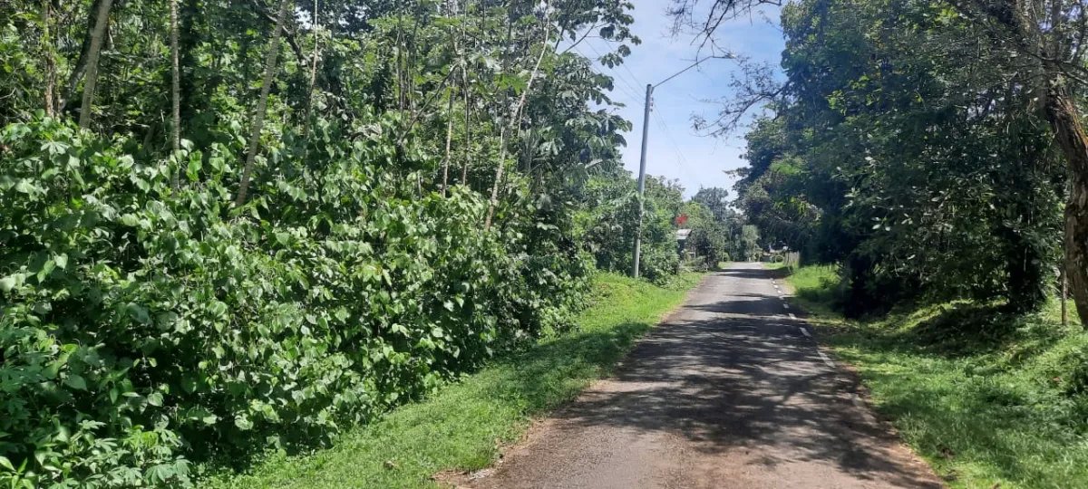 Lote tranquilo pero céntrica en las lajas, a 10 minutos de la playa