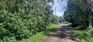 138964 - Chiriquí - houses - villa nueva
