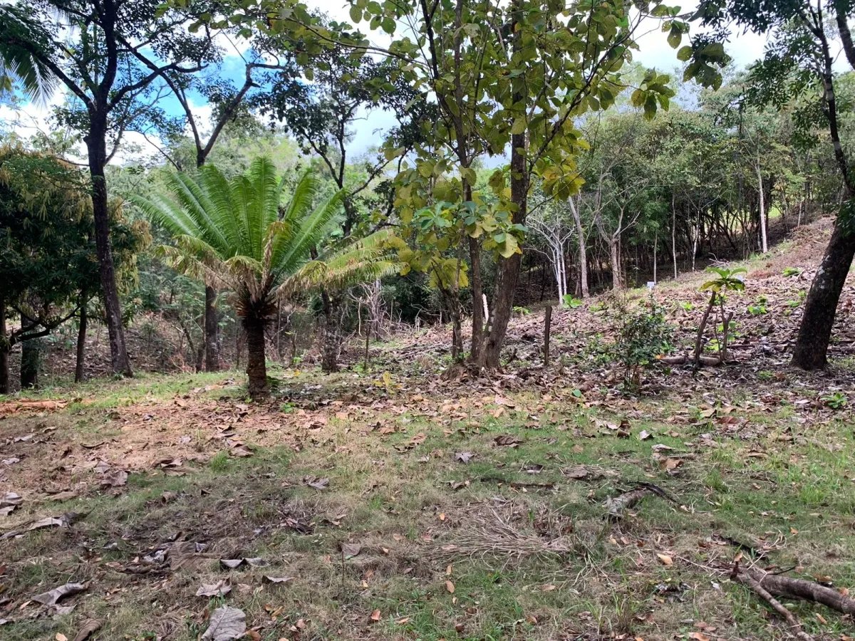 Lote de casa en venta en santa catalina