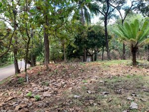 138966 - Santa catalina - lots