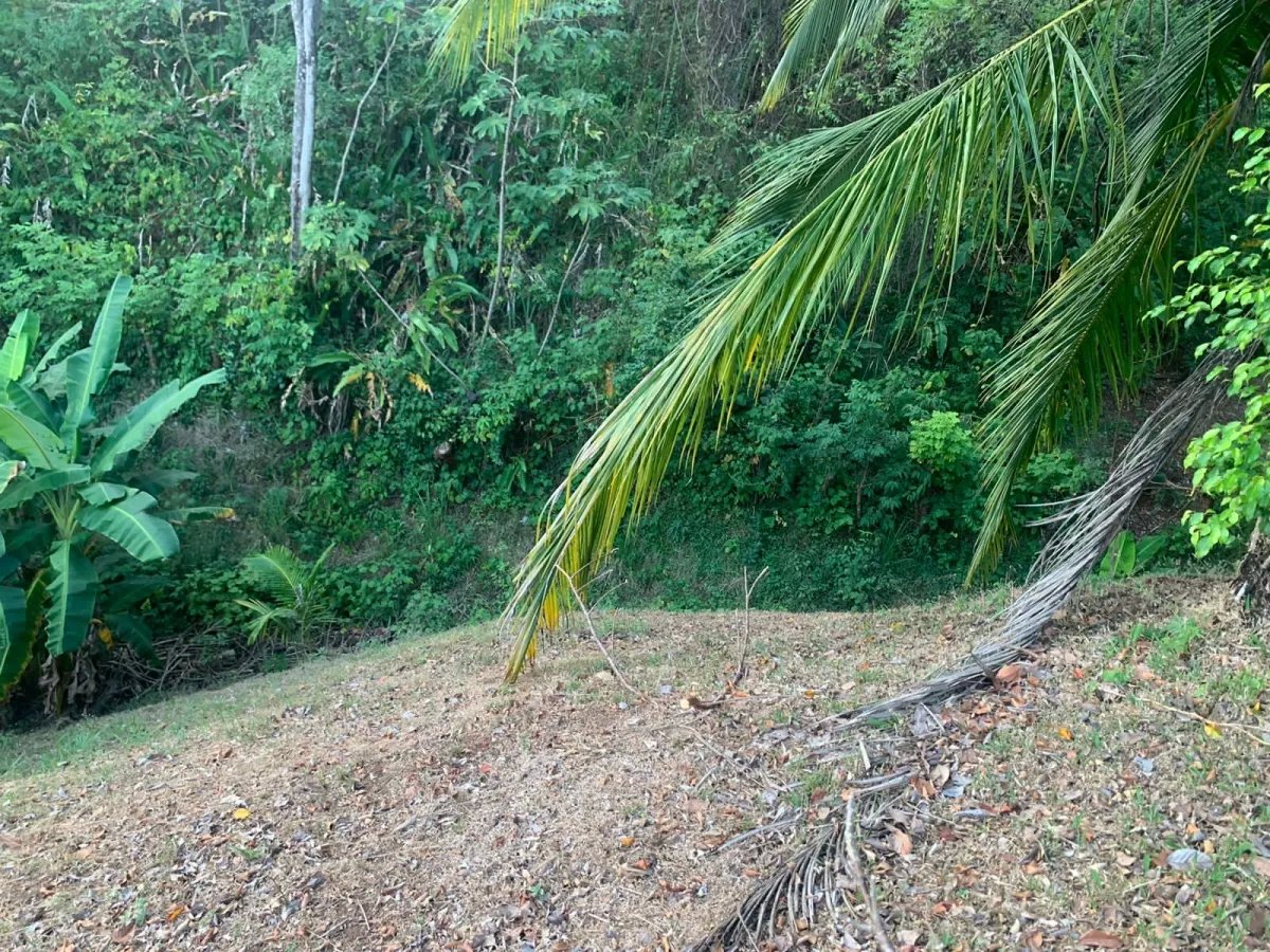 Propiedad en venta en santa catalina, con vista al mar.