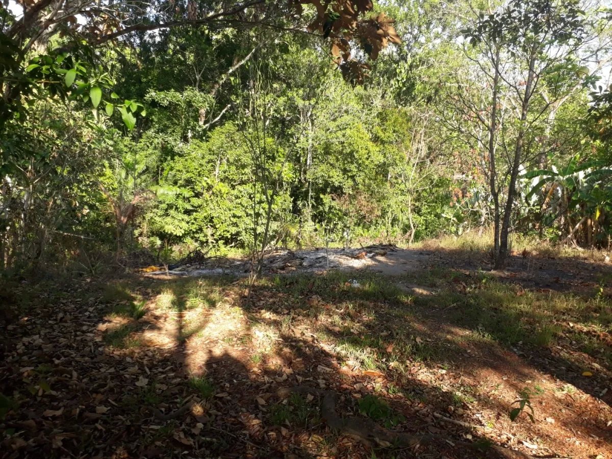 Casa en venta en el centro del municipio de guarumal, veraguas. cerca del destino turistico santa catalina.   casa ubicada frente al centro de salud d