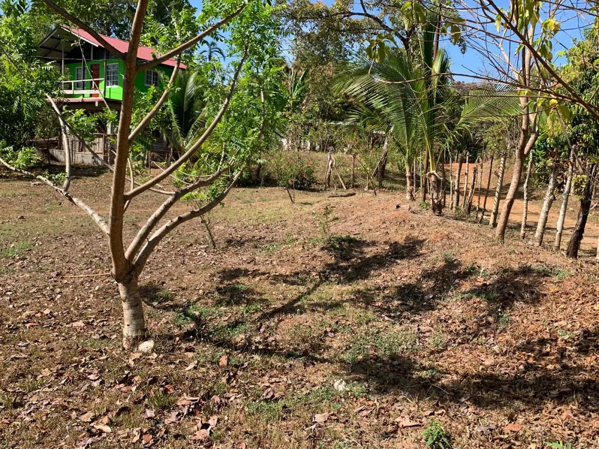 Se vende propiedad de 800 metros cuadrados, frente al mar. playa lagartero, santa catalina