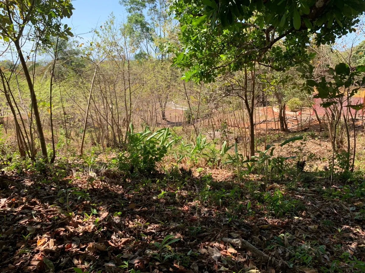 Lote de 1600 metros cuadrados, cerca de la calle principal, farfan-lar...