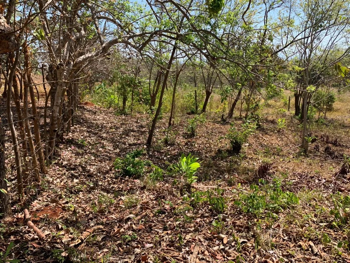 Lote de 1600 metros cuadrados, cerca de la calle principal, farfan-largatero, camino a santa catalina.