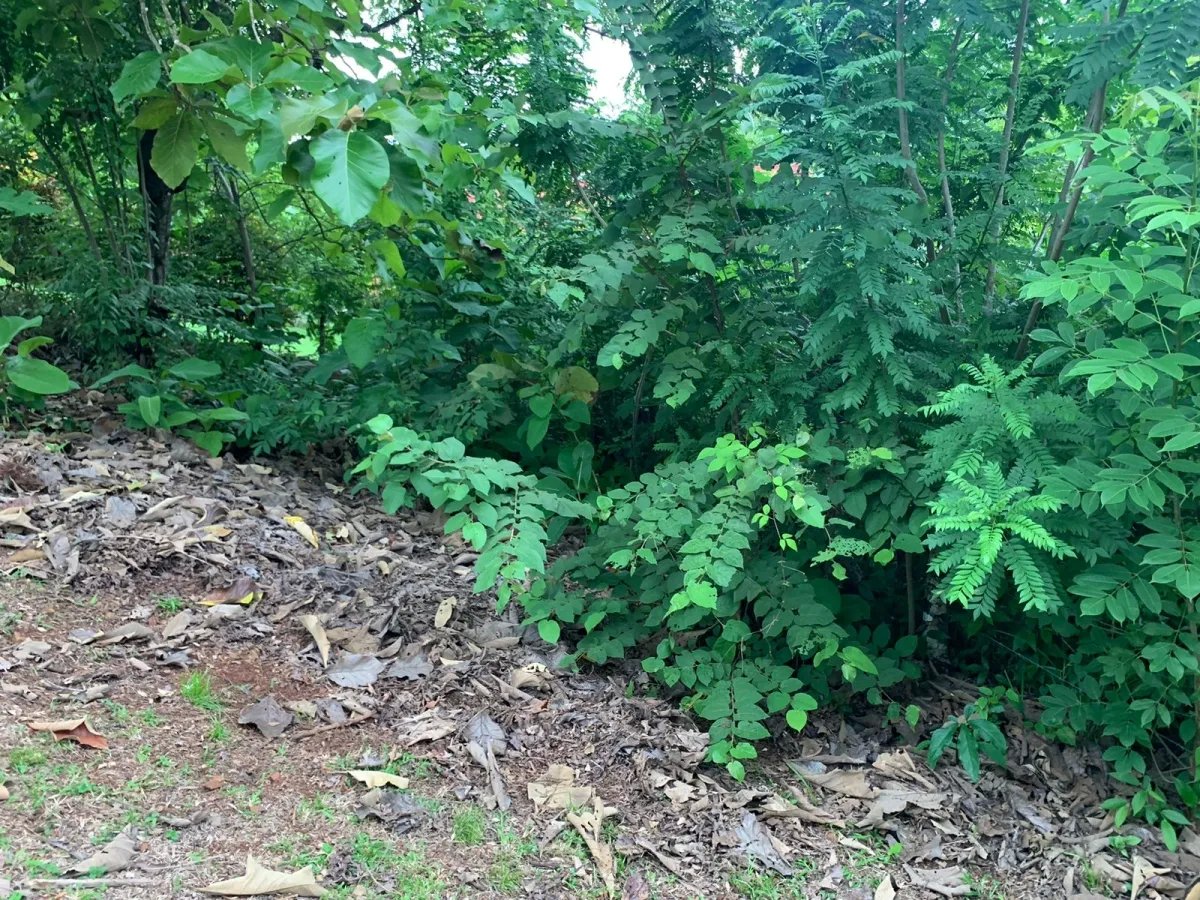 Se vende propiedad de casi 1,000 metros de terreno, en  el centro de s...