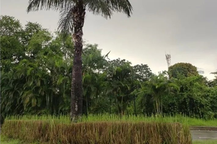 Se vende terreno plano en santa maría business district, panamá