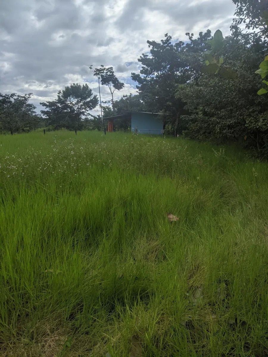 Gran terreno en el pueblo de playa las lajas