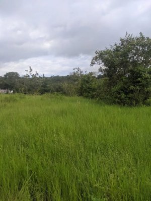 139312 - Las lajas - lots