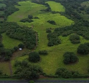 139533 - Las Tablas - lots - cerro canajagua
