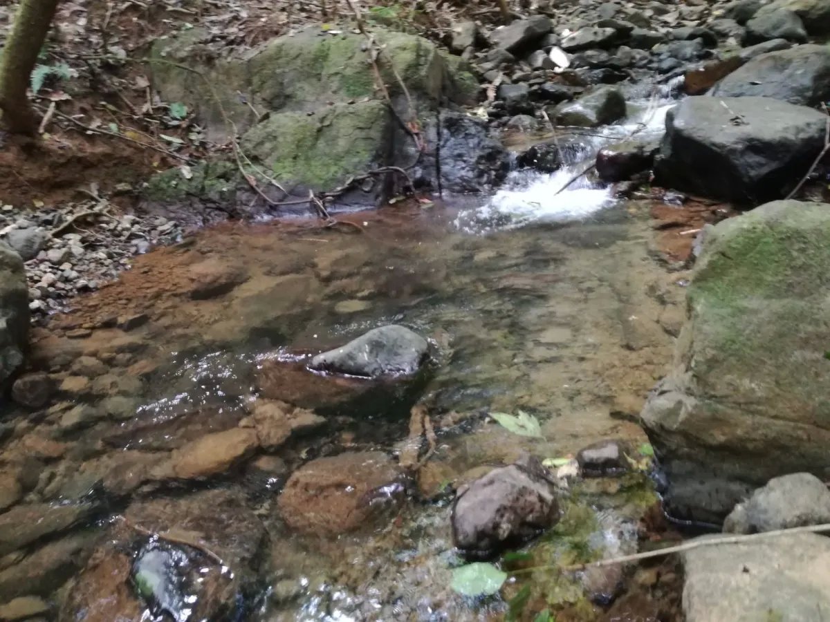Venta de finca ganadera en veraguas, sector la pifa
