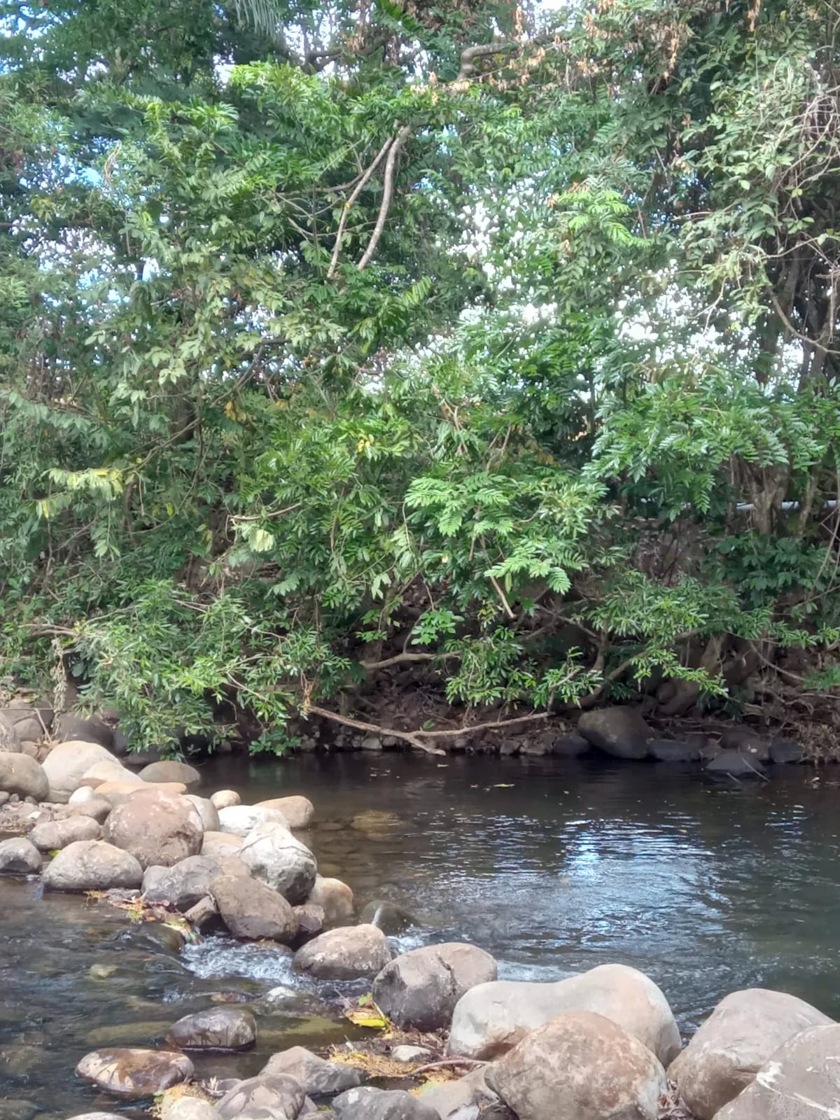 Tranquila y acogedora casa de campo a la venta - negociable/ cozy & quiet country house - negotiable