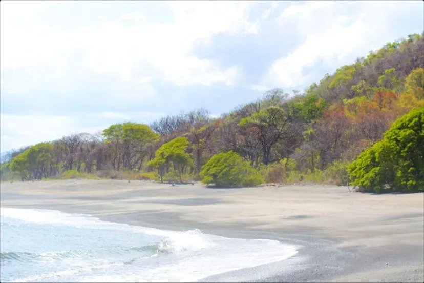 Playa ostional  81 hectáreas con 974m de frente de playa | pedasí, pa...
