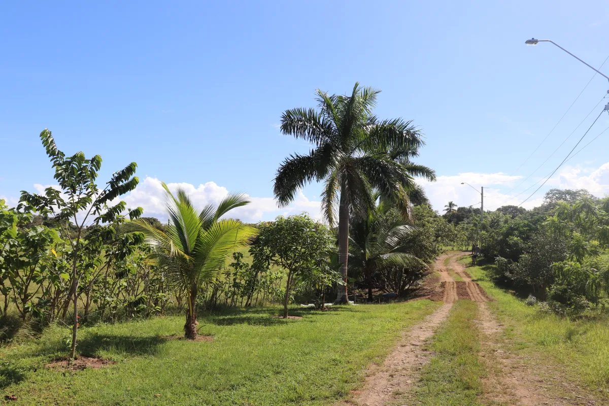 Venta de lote de playa  linda vista, pocrí