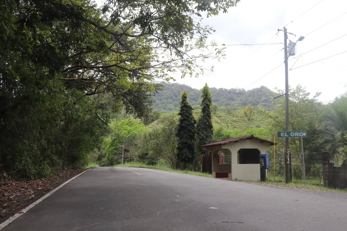 Venta de finca  el loro, vía las tablas / tonosí