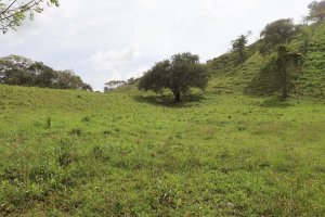 139673 - Las Tablas - lots - cerro canajagua