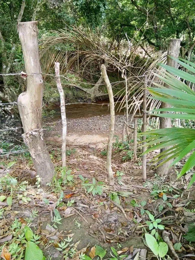 Venta de finca en tolú, los santos
