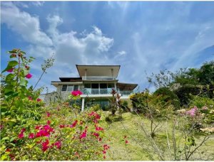 139684 - Albrook - houses - albrook mall