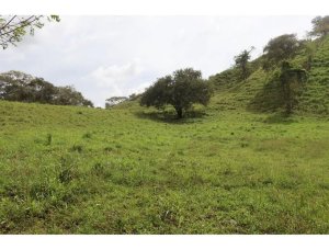 139704 - Las Tablas - lots - cerro canajagua