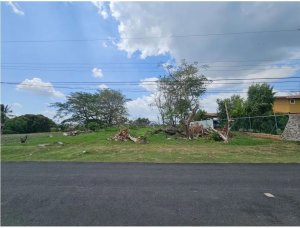 139713 - San carlos - lots - casamar