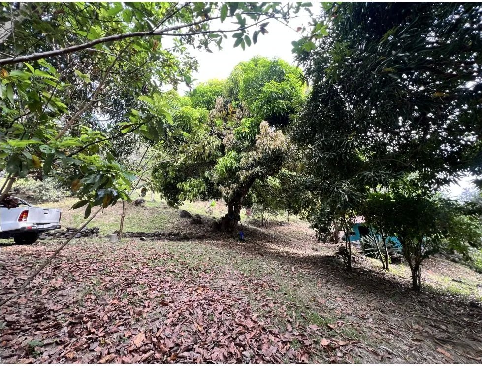 Venta de terreno con casa frente al río pacora, vía hacia san miguel