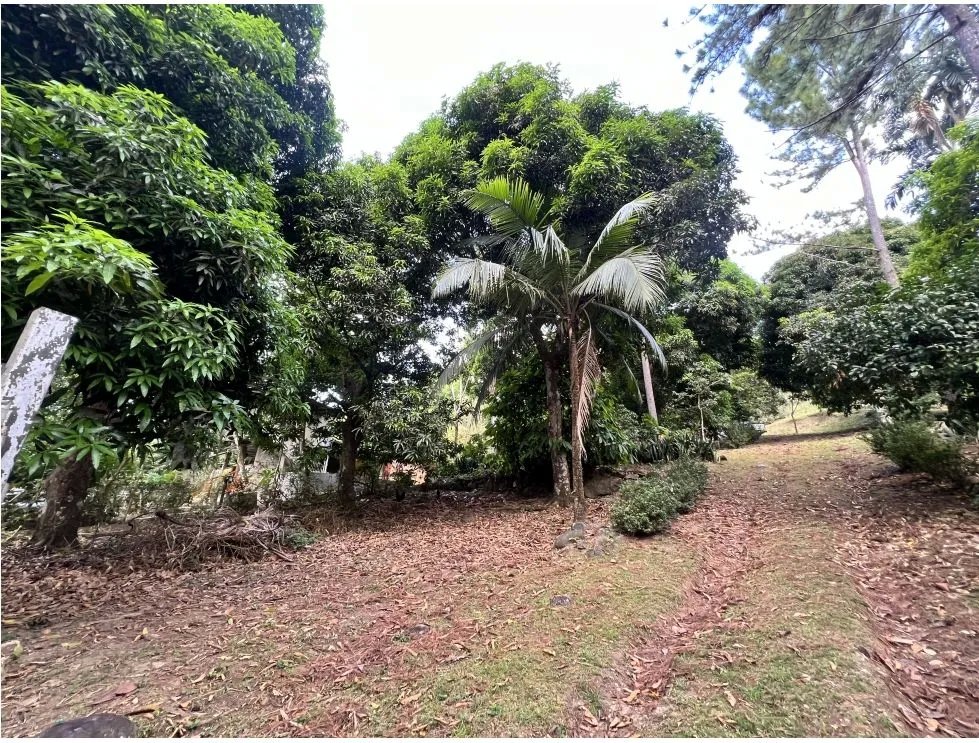 Venta de terreno con casa frente al río pacora, vía hacia san miguel