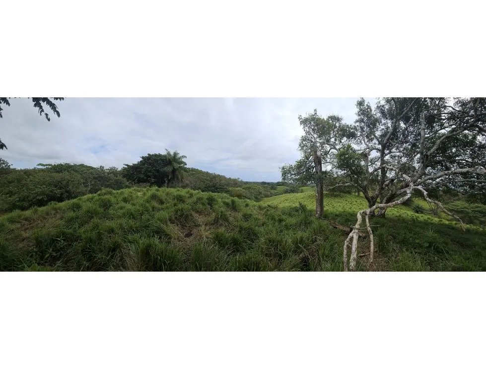 Venta de terreno en pedasí, a minutos de playa venao