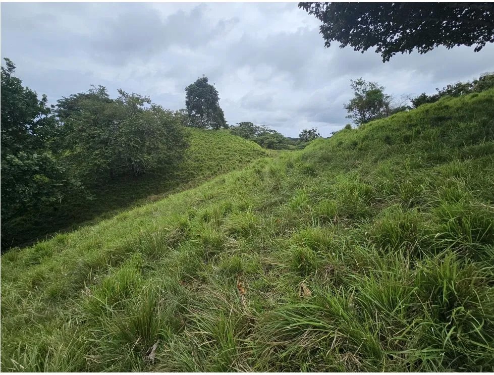 Venta de terreno en pedasí, a minutos de playa venao