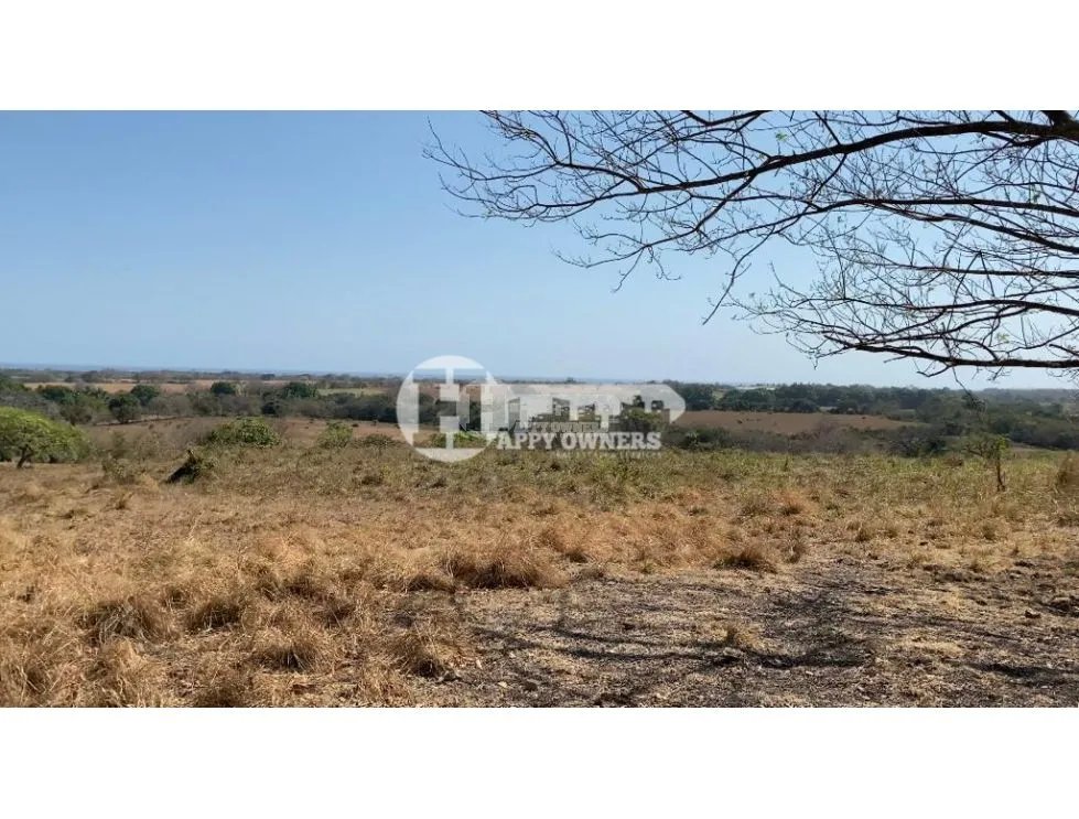 Se vende finca de 12 hectáreas, pocrí
