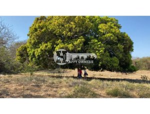 139859 - Las Tablas - lots - cerro canajagua