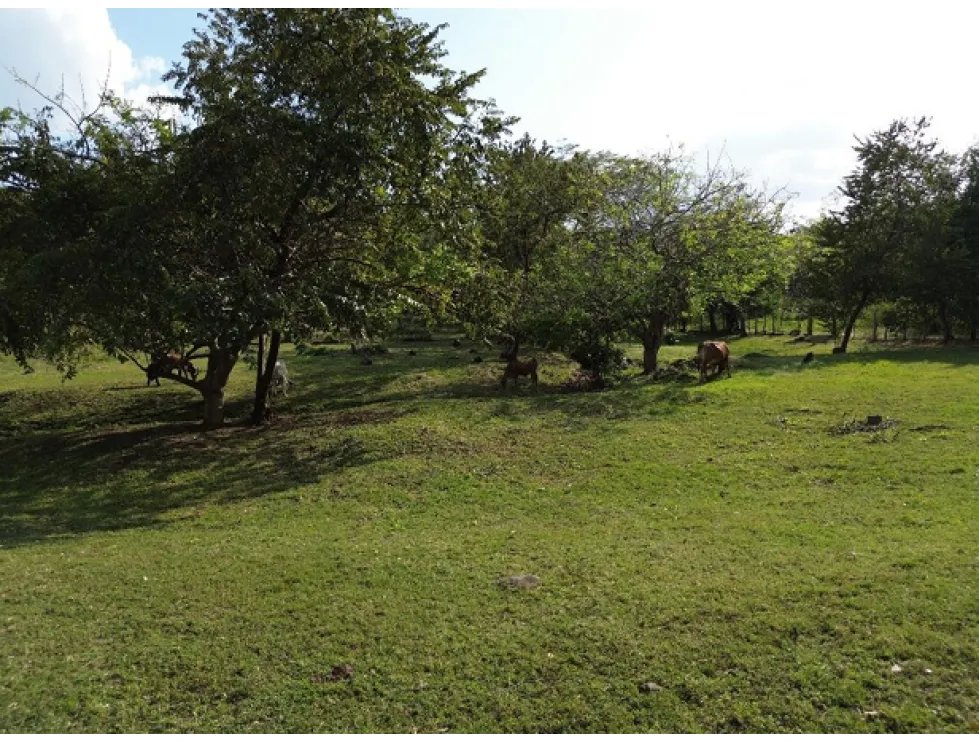 Venta de terreno campestre en el espavé, chame