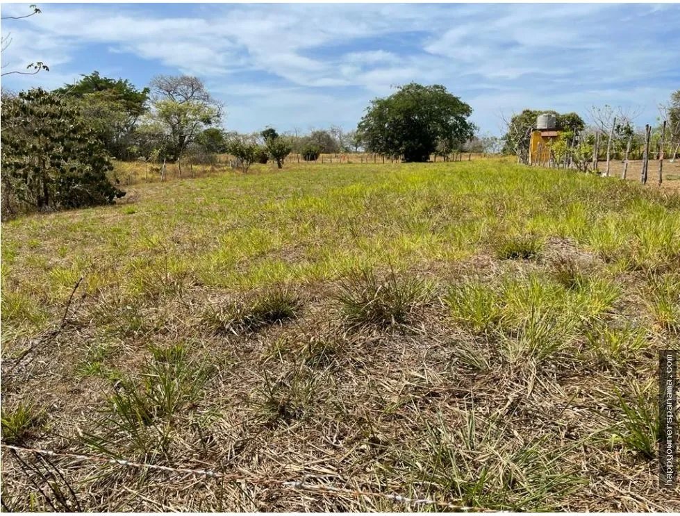 Venta de lote cerca del mar en pedasí, vía playa el toro.