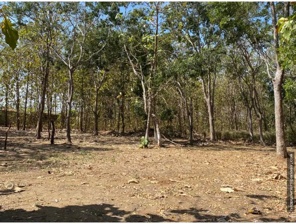 Venta de finca de 1.4 hectáreas en las tablas