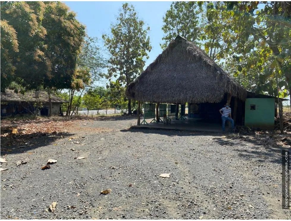 Venta de finca de 1.4 hectáreas en las tablas