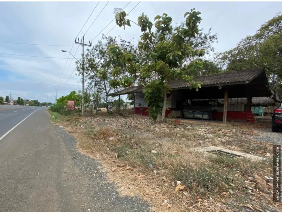 Venta de finca de 1.4 hectáreas en las tablas