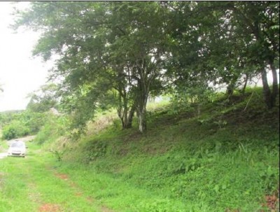 13988 - Las lajas - las cumbres - lotes