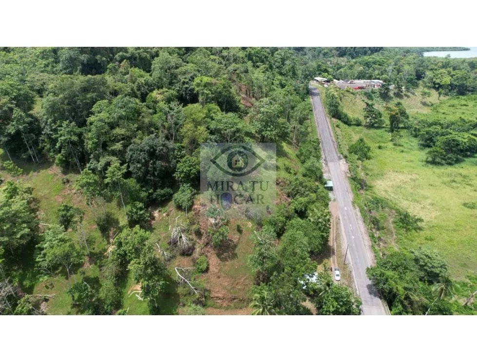 Se venden 20 hectáreas de terreno en río oeste, almirante