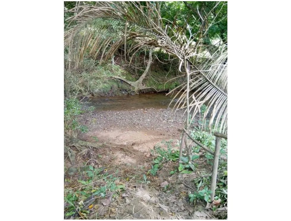 Venta de finca en tolú, los santos