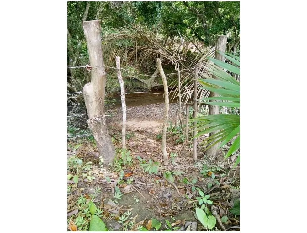 Venta de finca en tolú, los santos