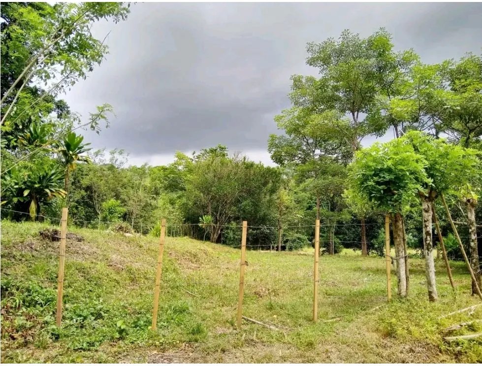 Venta de finca en tolú, los santos