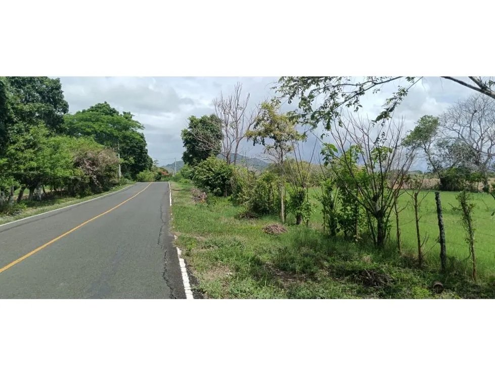 Terreno en venta en tonosí  vía bucaro